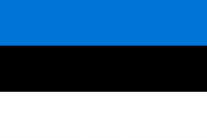 Governmental translation from/to Estonian